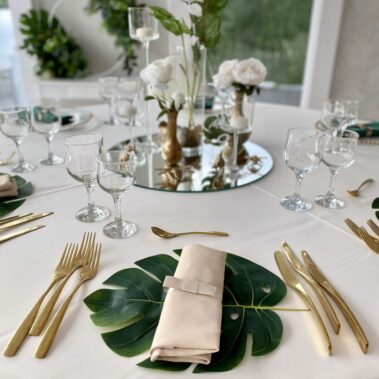 decor botez animalute