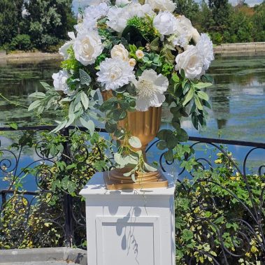 WhatsApp Image 2025 02 05 at 18.37.08