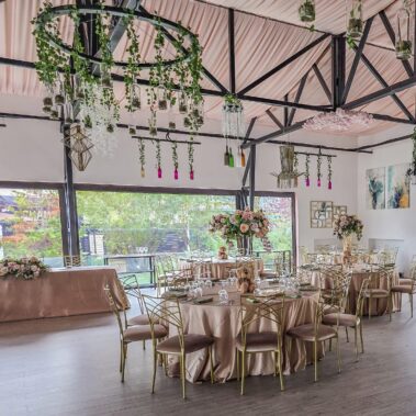 add85a46 2c6e 4431 8256 1c5599421c74 2